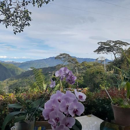 Casa Finca El Girasol Villa Guayabal de Síquima Dış mekan fotoğraf