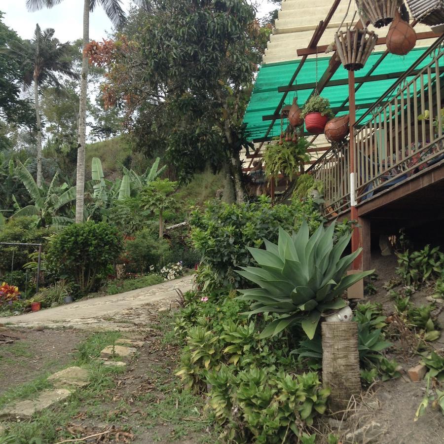 Casa Finca El Girasol Villa Guayabal de Síquima Dış mekan fotoğraf