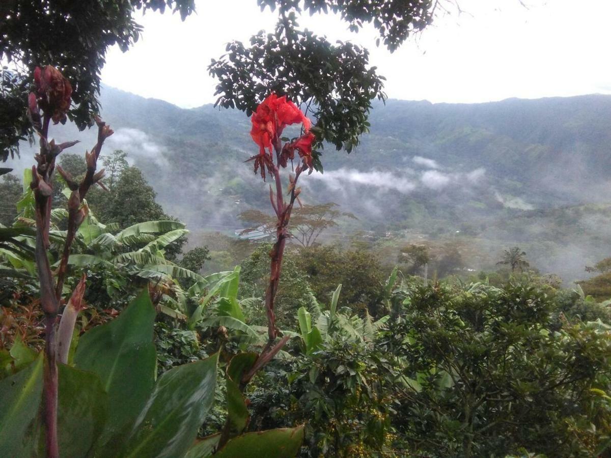 Casa Finca El Girasol Villa Guayabal de Síquima Dış mekan fotoğraf